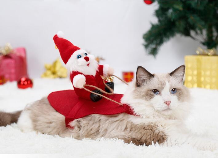 *New Christmas Decor Alert* - Christmas Pet Dress