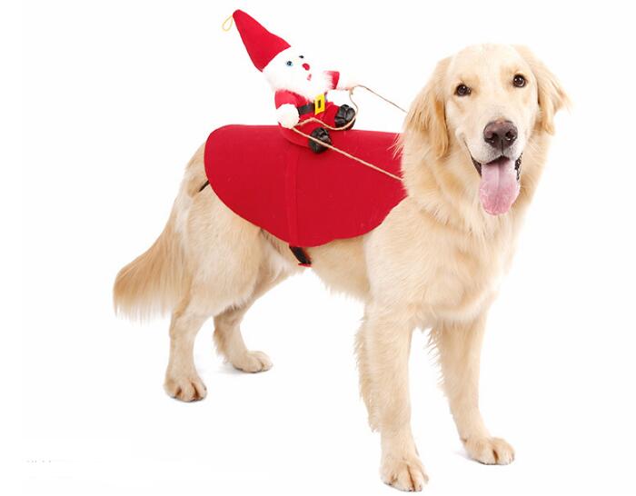 *New Christmas Decor Alert* - Christmas Pet Dress