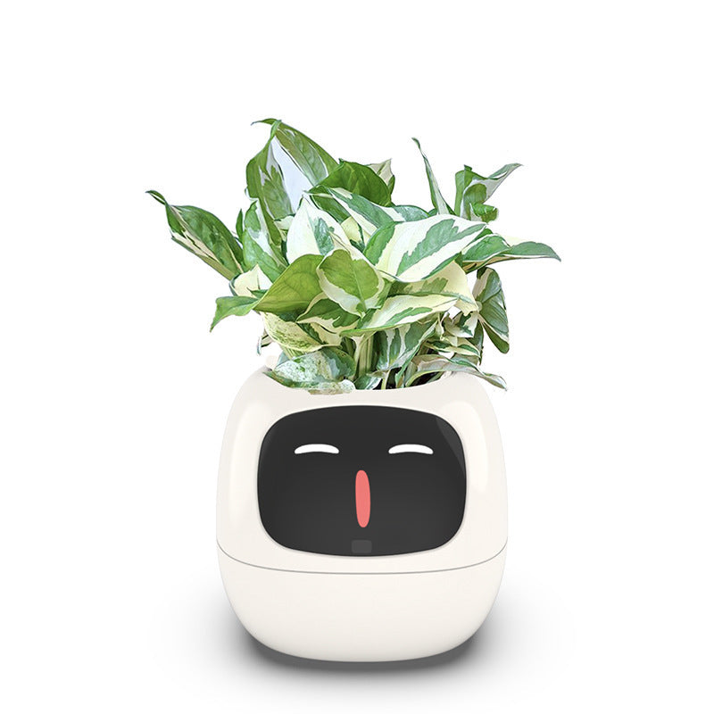 USB Auto Absorbent Planter Brand New PP Resin Plastic Round Eco-friendly Interactive