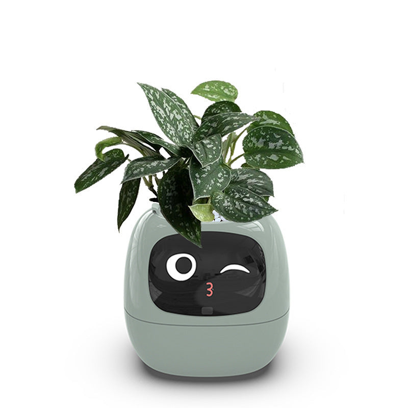 USB Auto Absorbent Planter Brand New PP Resin Plastic Round Eco-friendly Interactive