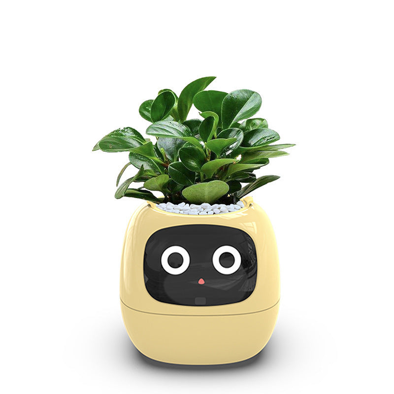 USB Auto Absorbent Planter Brand New PP Resin Plastic Round Eco-friendly Interactive